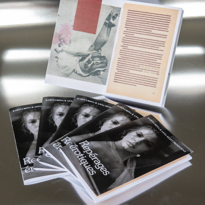 http://www.annamezey.com/files/gimgs/th-55_Fanzine silver.png